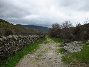  Cañada , ancient cattledrive, especially for sheep transhumance 