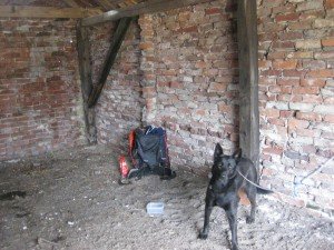  Lunch in a shed in the field. Protection against the storm 