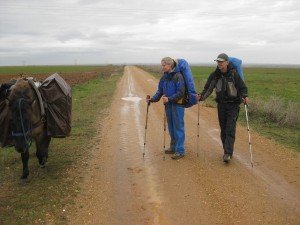 Paard met 2 pelgrims in het eindeloze akkerland ten noorden van Salamanca