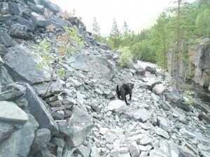 Weer steenhellingen, waar ik mijn muggenstift laat vallen