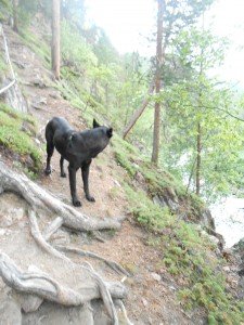 Hier beter niet uitglijden