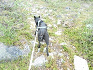 Maar helaas ook bergaf